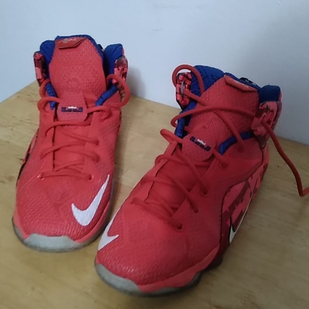 Lebron shoes